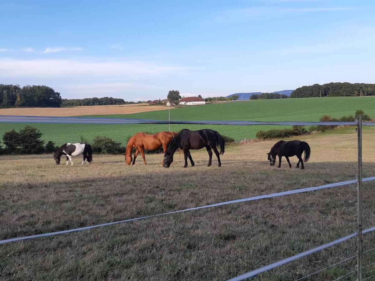 Gites Domaine De La Rochere Domsure ภายนอก รูปภาพ
