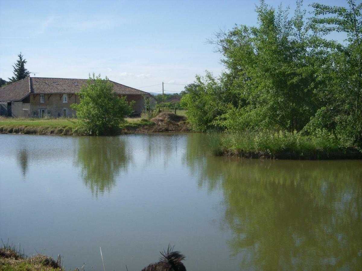 Gites Domaine De La Rochere Domsure ภายนอก รูปภาพ